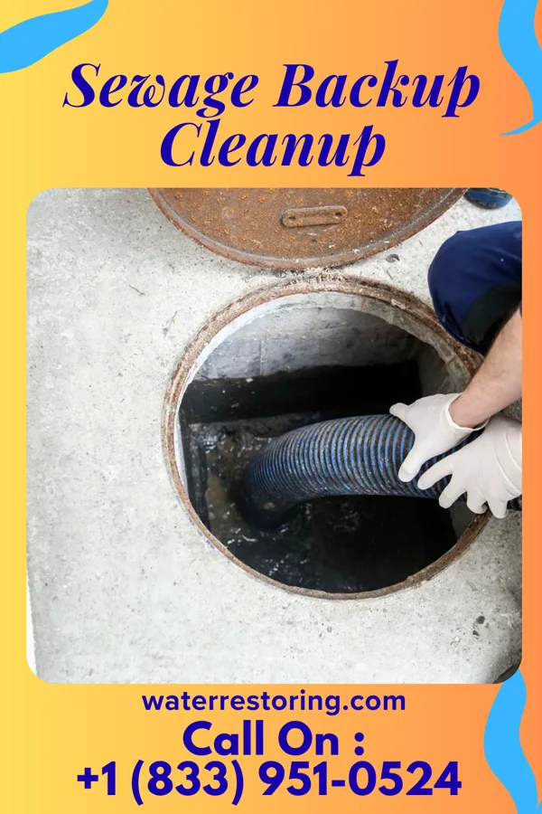 Sewage Backup Cleanup in Parkerfield, KS